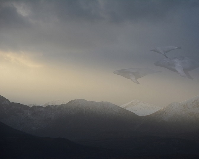 Bj&oslash;rg-Elise Tuppen