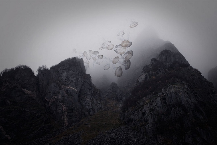 Bj&oslash;rg-Elise Tuppen