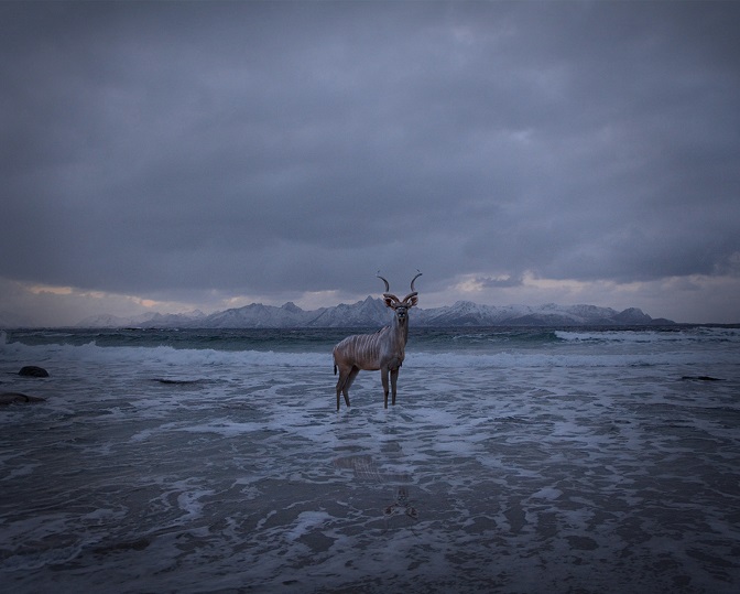 Bj&oslash;rg-Elise Tuppen