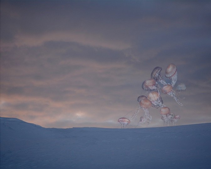 Bj&oslash;rg-Elise Tuppen