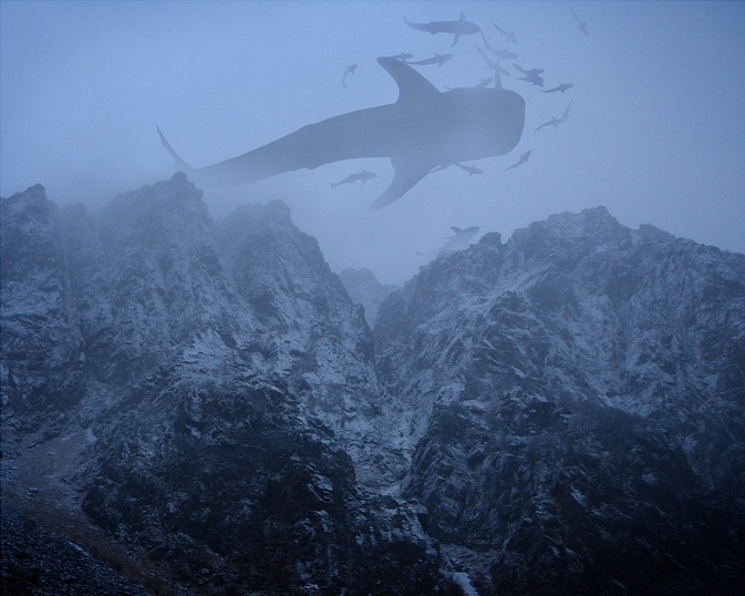 Bj&oslash;rg-Elise Tuppen